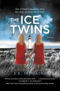 The Ice Twins