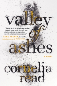 Valley of Ashes