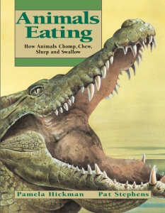 Animals Eating