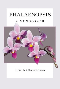 Phalaenopsis