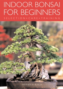 Indoor Bonsai for Beginners