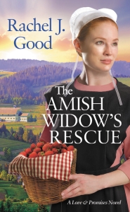 The Amish Widow's Rescue