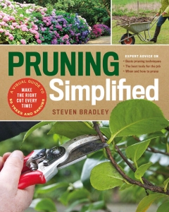 Pruning Simplified