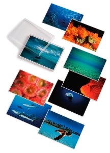 David Doubilet; Water Light Time Postcards