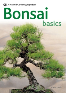 Bonsai Basics - A Comprehensive Guide to Care and Cultivation